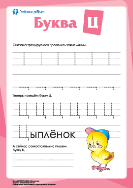 Русский алфавит: написание буквы «Ц»