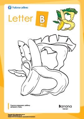 Раскраска «Английский алфавит»: буква «B»