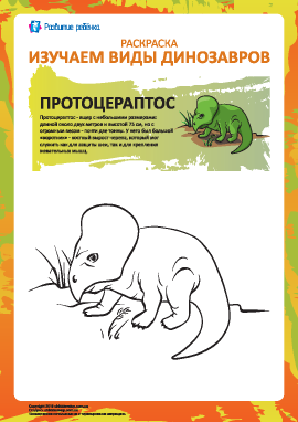 Раскраска динозавры: протоцераптос