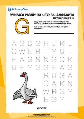 Английский алфавит: найди букву «G»