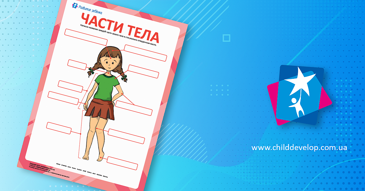 Части тела человека «Девочка» – распечатать задание Четвертый класс ...