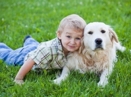 Положительное влияние домашних животных на детей  