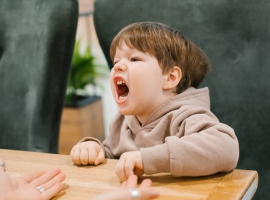 Как справиться с детскими истериками 