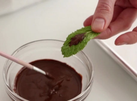 Эксперимент с «шоколадными листьями» 