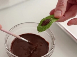 Эксперимент с «шоколадными листьями» 