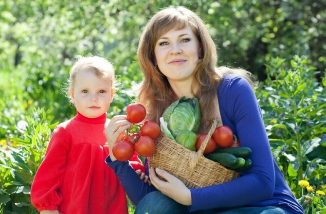 Как приучить детей выращивать и употреблять овощи 